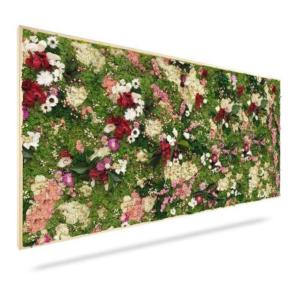 Machový obraz RASTLINY Huelma, 120x40cm, drevený biely rám