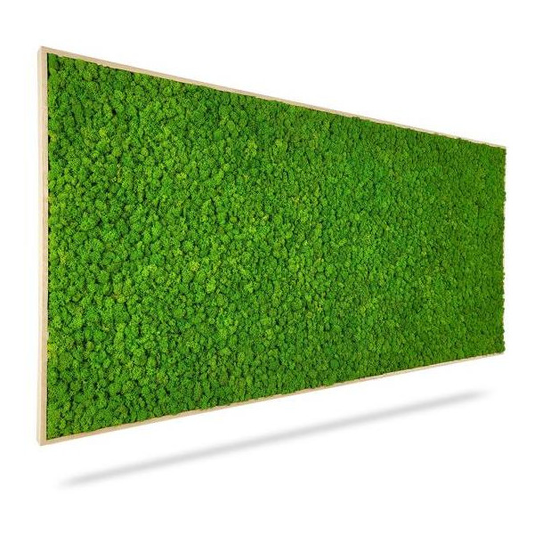 Machový obraz LIŠAJNÍK mono GREEN, 140x60cm, drevený biely rám