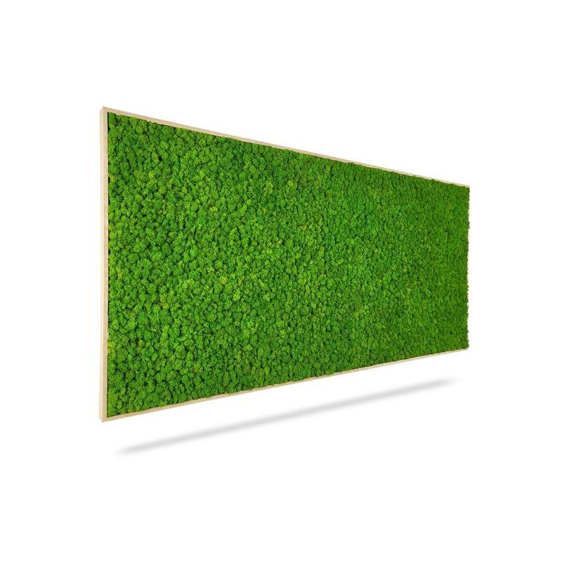 Machový obraz LIŠAJNÍK mono GREEN, 140x60cm, drevený biely rám Machový obraz LIŠAJNÍK mono GREEN, 140x60cm, drevený biely rám