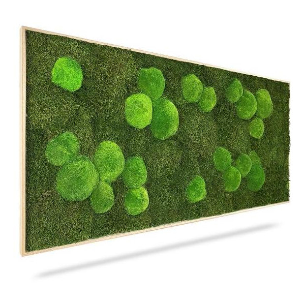 Machový obraz Light Green, 80x40cm, drevený svetlohnedý rám