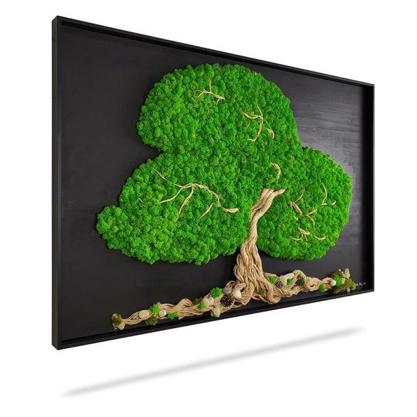 Machový obraz STROM ARLES, 120x60cm, drevený čierny rám