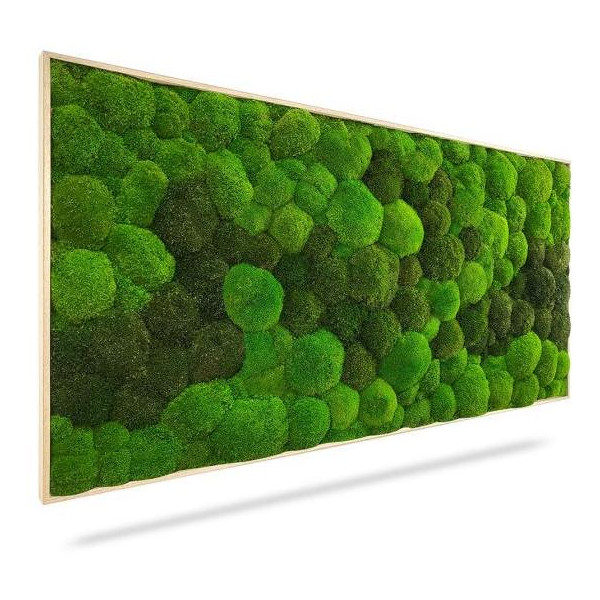 Machový obraz DUO Light Green, 100x50cm, drevený svetlohnedý rám