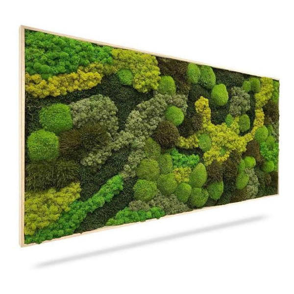 Machový obraz ORTHO TELDE, 100x60cm, drevený biely rám