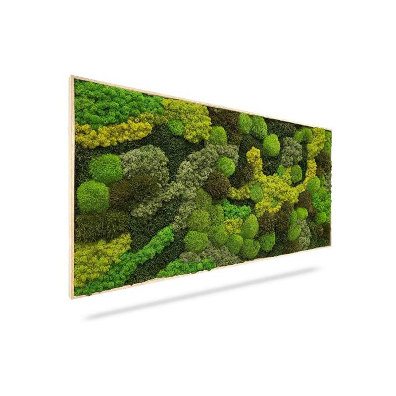 Machový obraz ORTHO TELDE, 100x60cm, drevený biely rám Machový obraz ORTHO TELDE, 100x60cm, drevený biely rám