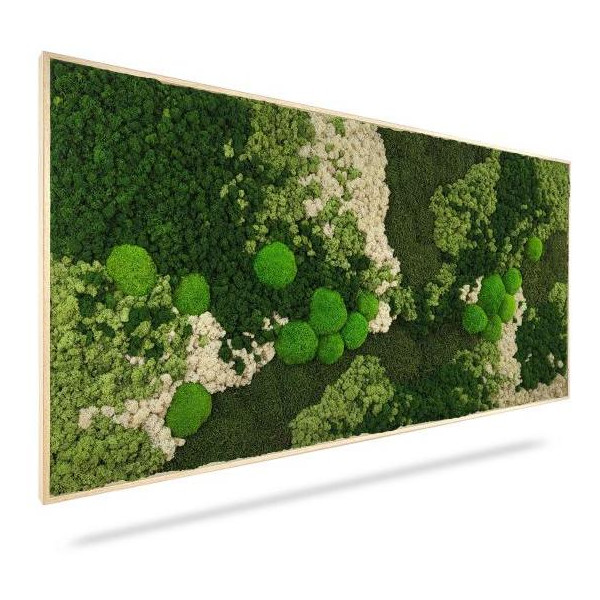 Machový obraz ORTHO FOREST, 40x40cm, drevený čierny rám