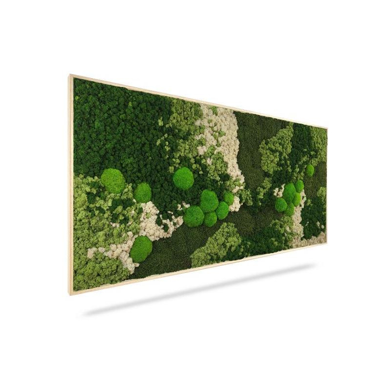 Machový obraz ORTHO FOREST, 40x40cm, drevený čierny rám Machový obraz ORTHO FOREST, 40x40cm, drevený čierny rám