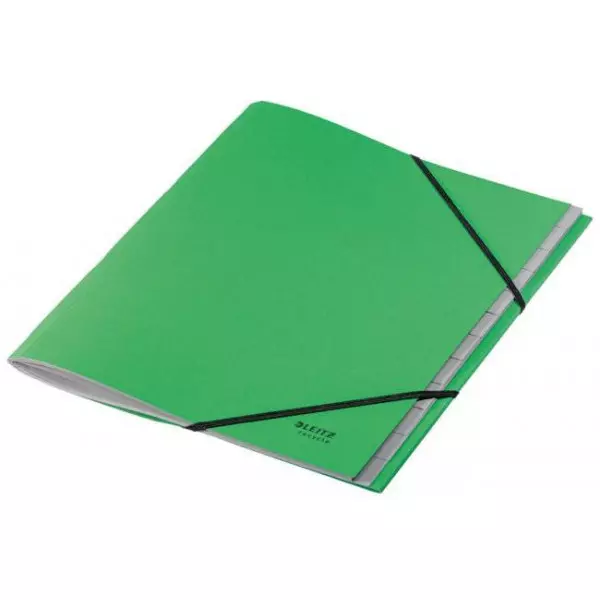 Triediaca kniha 12 Leitz Recycle zelená