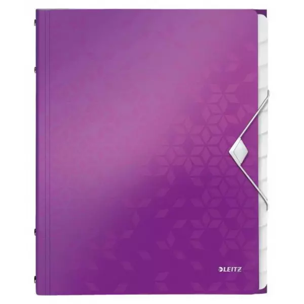 Triediaca kniha 12 Leitz WOW purpurová