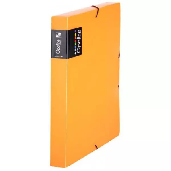 Plastový box s gumičkou Karton PP Opaline oranžový