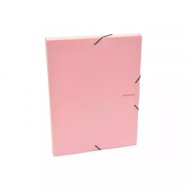 Plastový box s gumičkou Karton PP Pastelini ružový