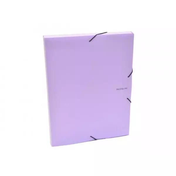 Plastový box s gumičkou Karton PP Pastelini fialový