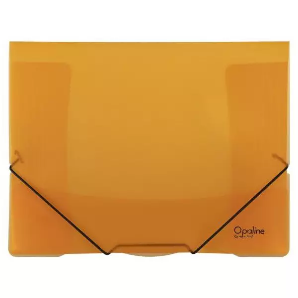 Plastový obal s gumičkou Karton PP Opaline oranžový
